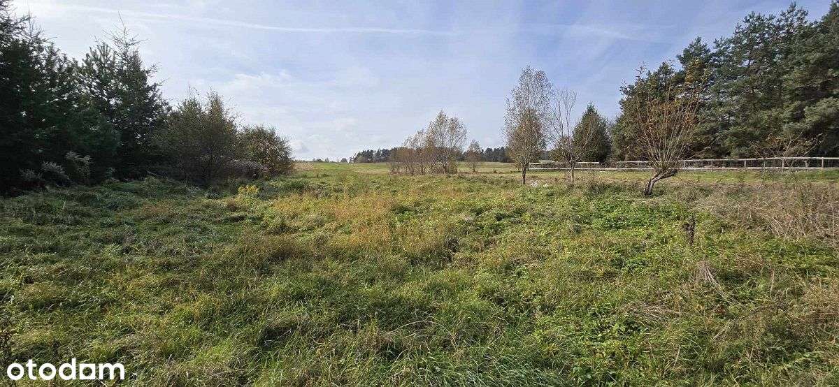 działka budowlana w Henrykowie Lubańskim - okazja-5