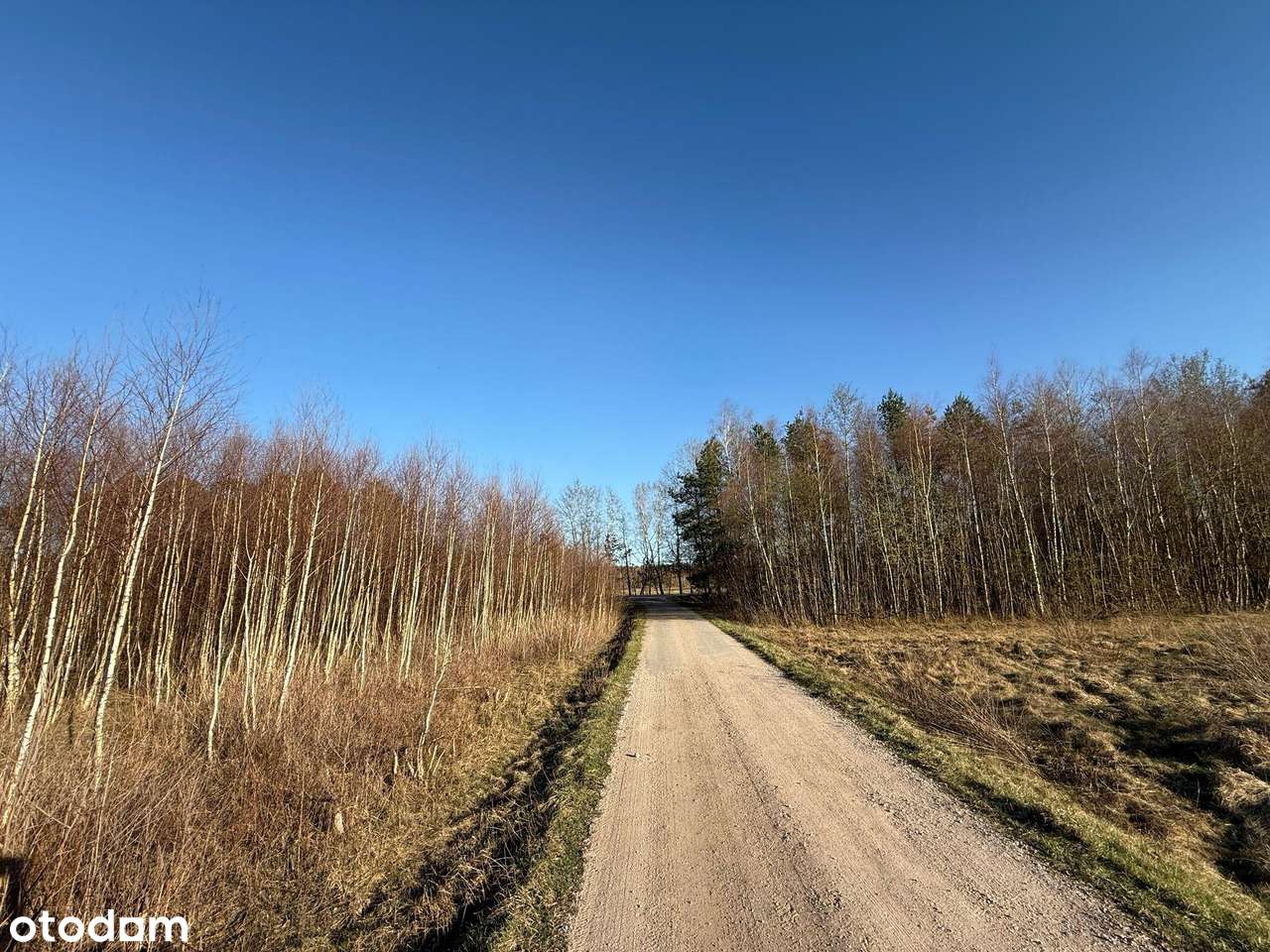 Działki budowlane przy krajowej 50 Kąty Czernickie - Pełny obrazek: 4/9