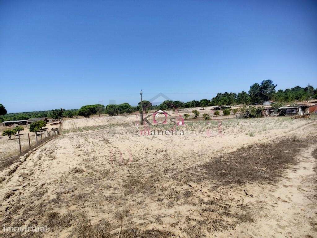 4 Moradias em Melides, exelente para investimento - Grândola-17