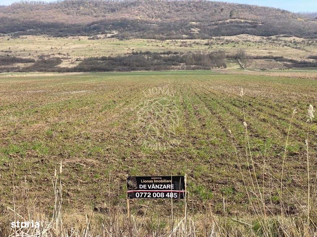 Teren Intravilan-3750mp- zona in plina dezvoltare-Podirei - Imagine principală: 4/5