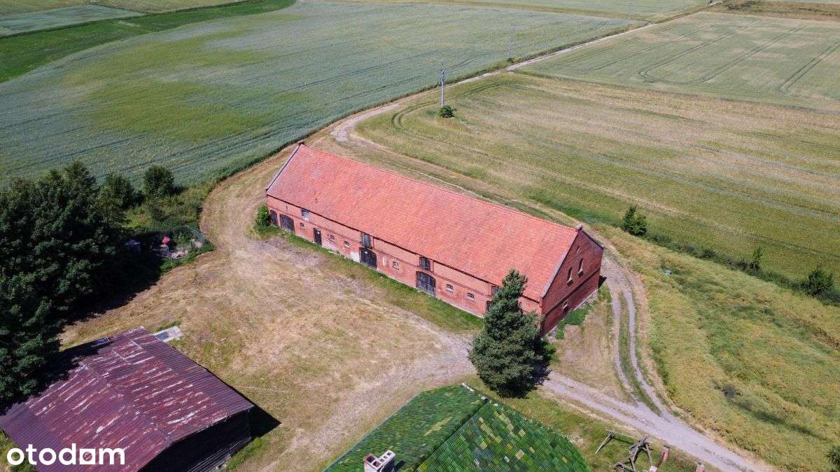 Gospodarstwo rolne z budynkami gospodarczymi - Pełny obrazek: 5/15