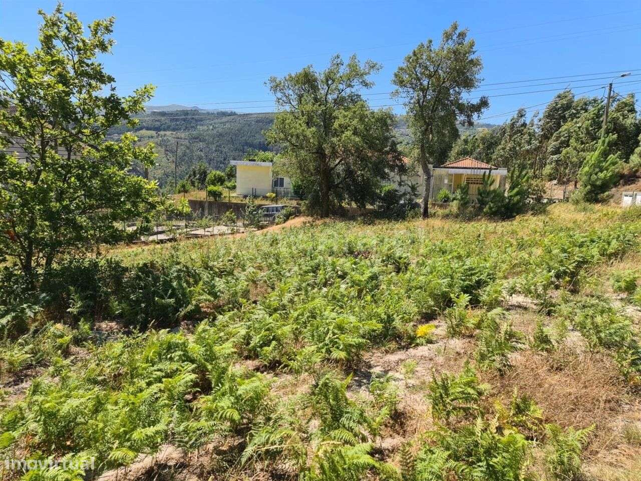 Quintinha / Marco de Canaveses, Penhalonga e Paços de Gaiolo - Grande imagem: 2/9