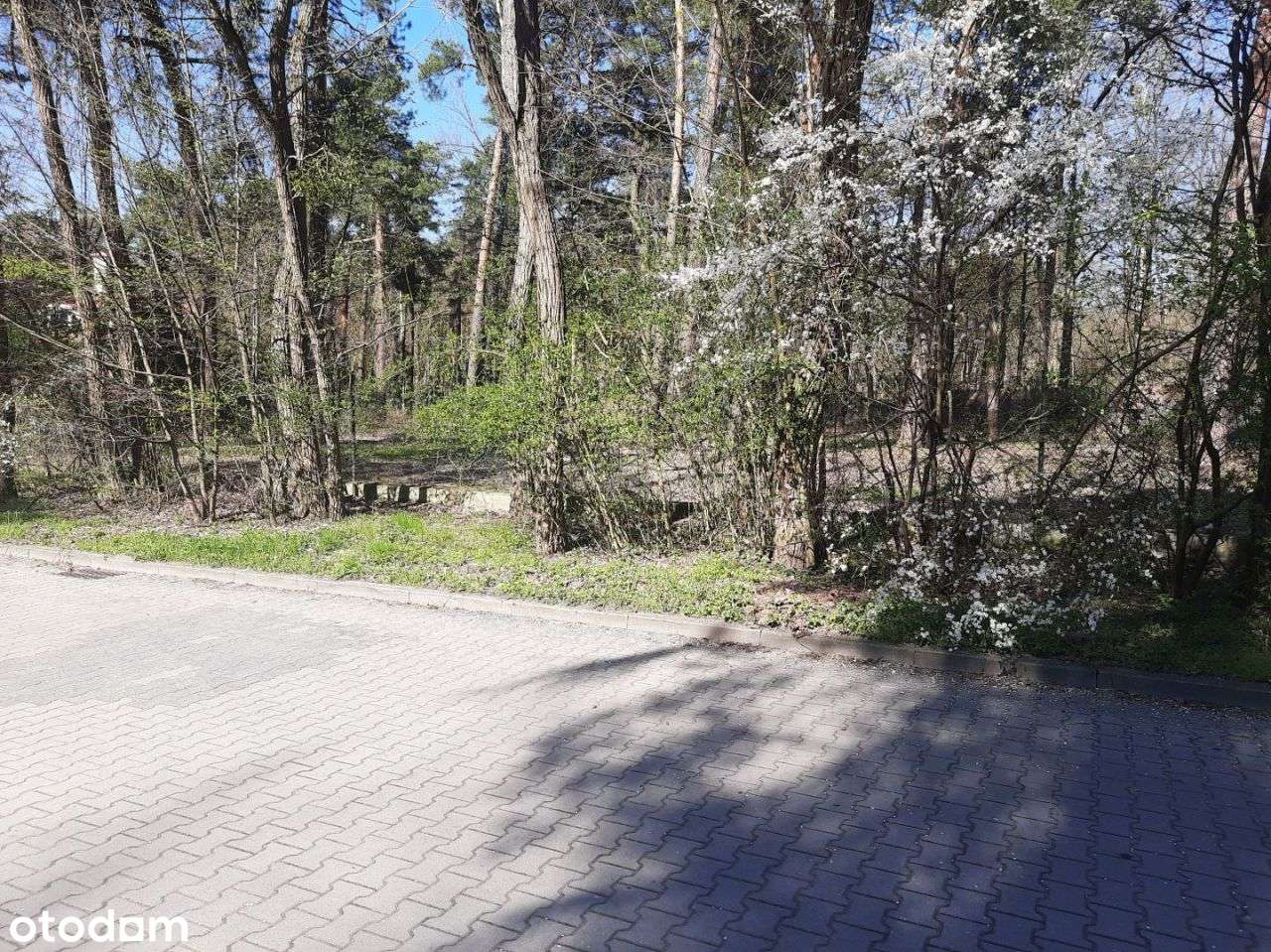 Działka budowlana w Strefie A - Pełny obrazek: 5/13