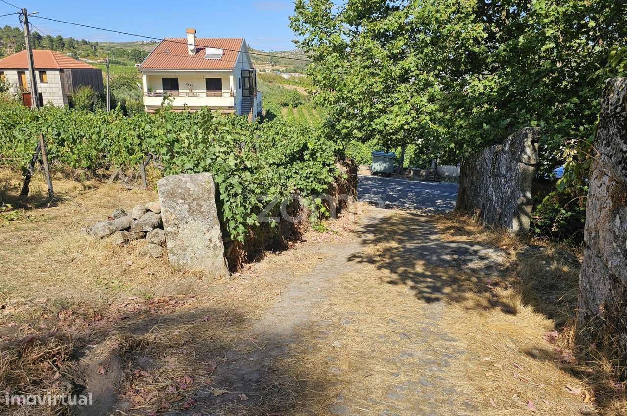 Terreno Rústico Urbanizavel – Presandães, Alijó - Grande imagem: 2/11