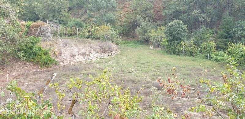 Quintinha terreno jazente Amarante - Grande imagem: 5/11