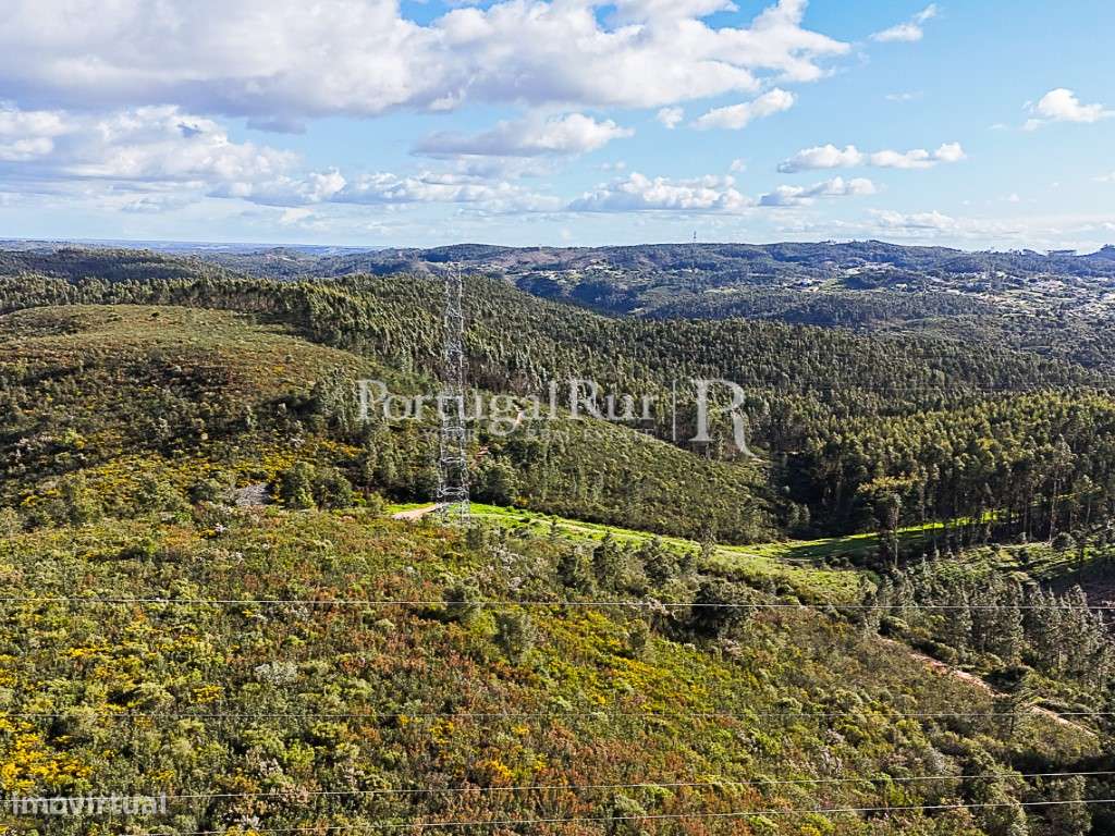 Herdade com 227 ha junto à Albufeira de Castelo de Bode - Grande imagem: 4/47