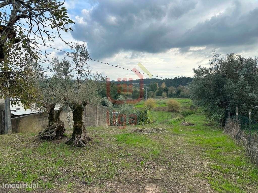 Terreno com Viabilidade de Construção - Ourém!-4