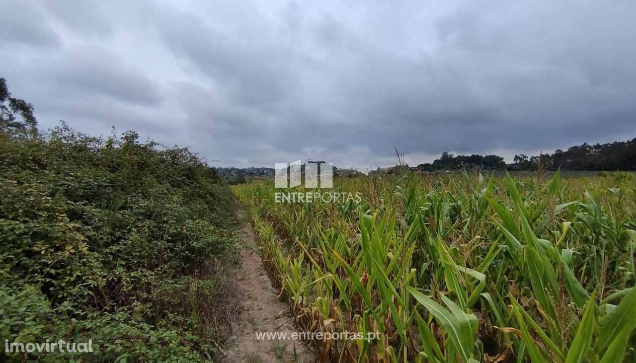 Venda de Terreno industrial com 14 490 m2, Guilhabreu, Vila do Conde