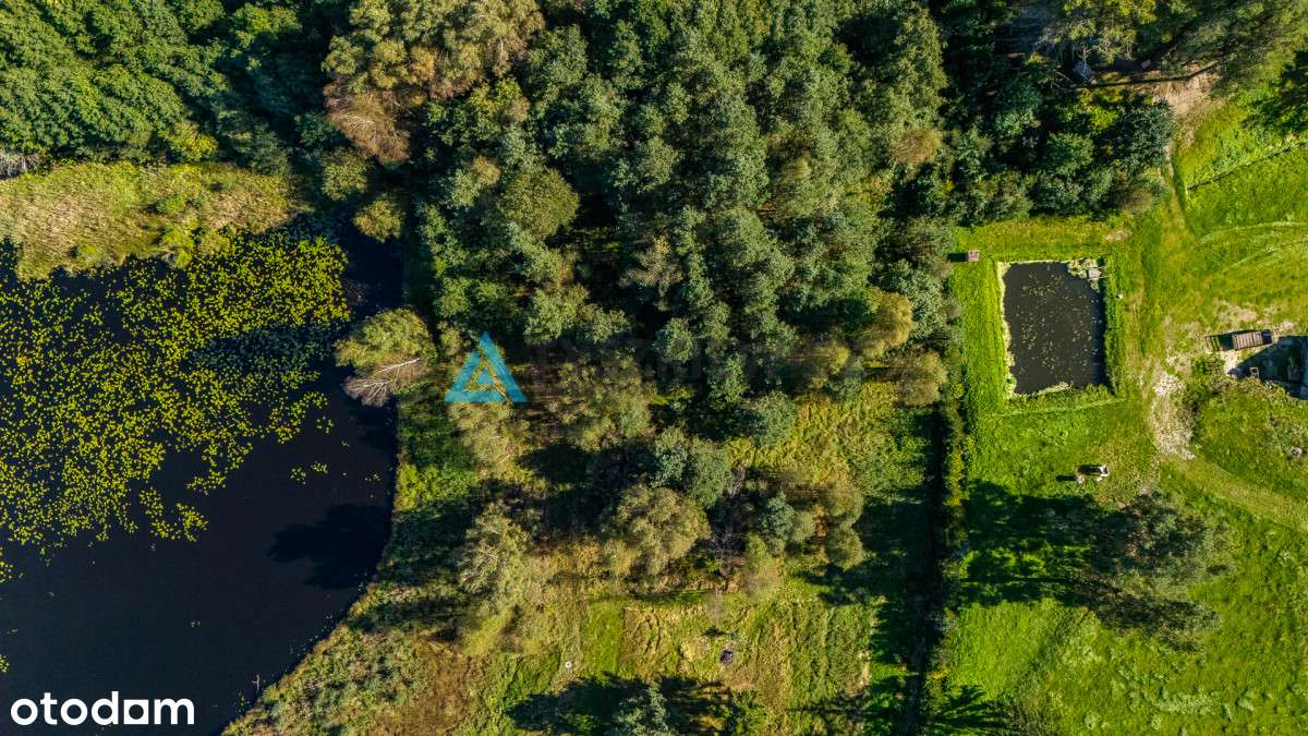 Malownicza działka budowlana z widokiem na staw - Pełny obrazek: 5/20
