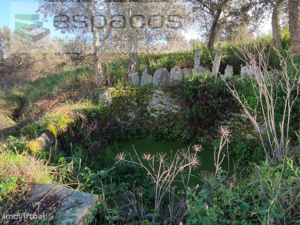 Quinta com um poço. - Grande imagem: 3/16