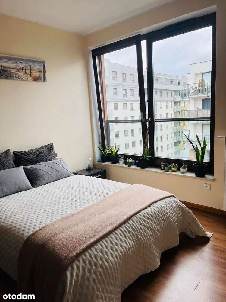 3 pokojowy mieszkanie - Pełny obrazek: 4/11