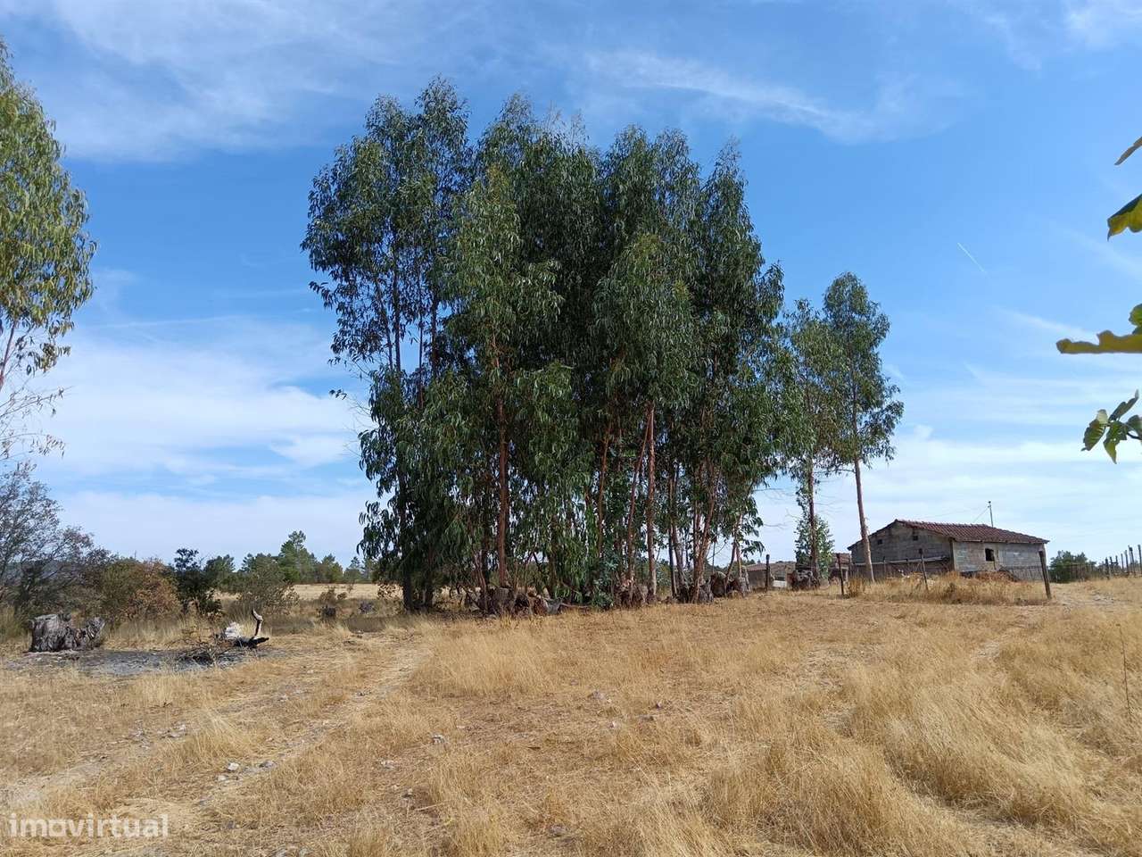 Terreno - Grande imagem: 4/8