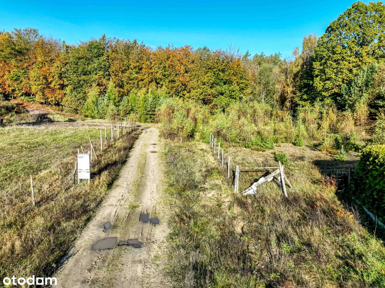 Lokalizacja to najważniejszy parametr - wiosną już można budować dom-19