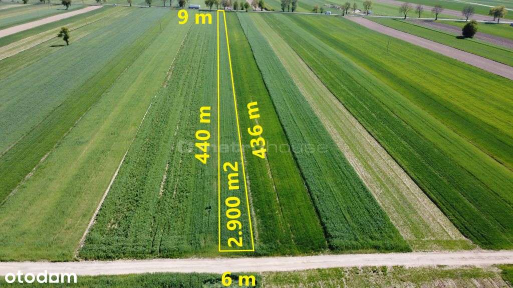 Działka, 2 900 m², Rybno - Pełny obrazek: 5/5