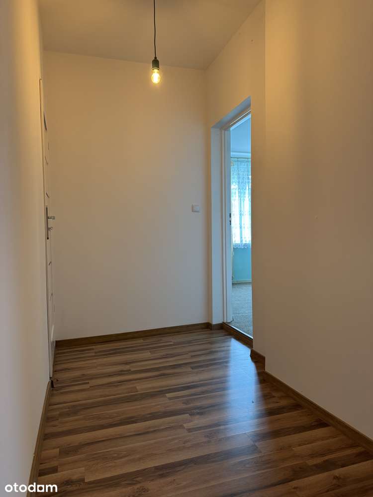 Gospodarstwo rolne 3.8ha - Pełny obrazek: 5/14