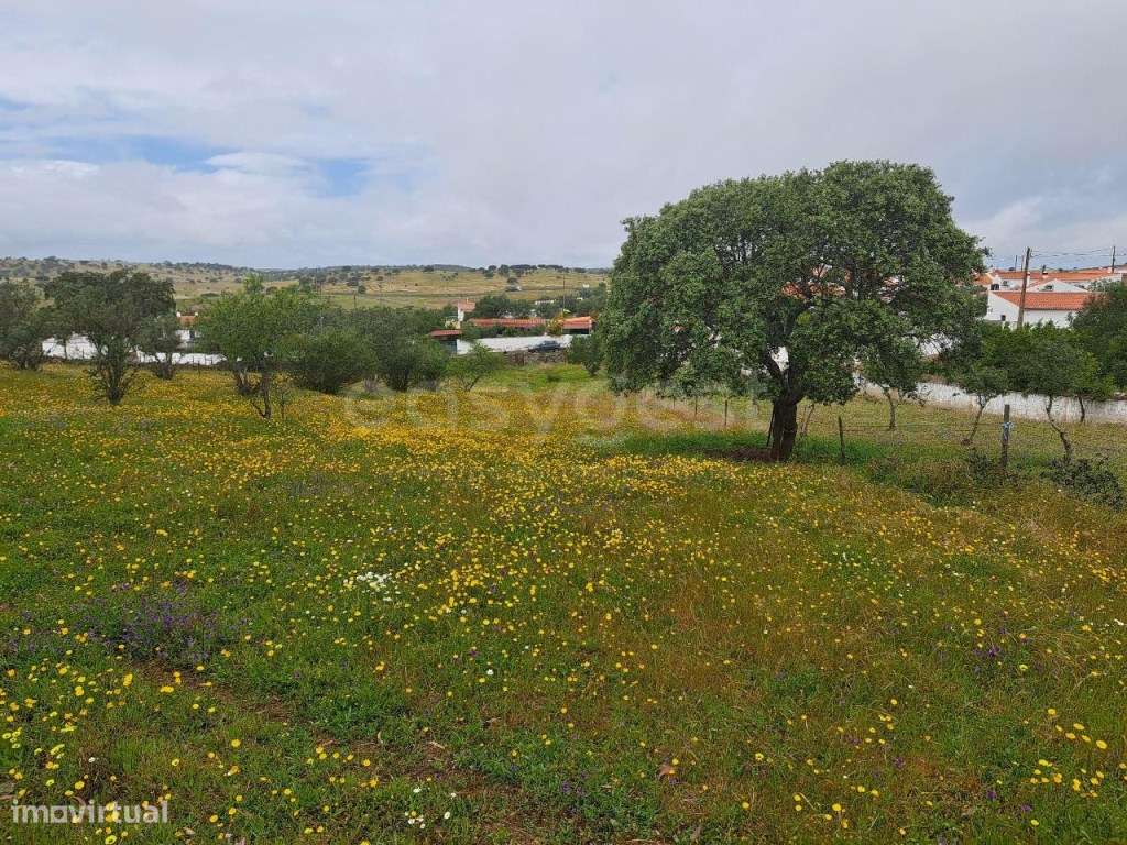Terreno rustico em Santana de Cambas a 7kms de Mértola no Baixo Ale... - Grande imagem: 5/8