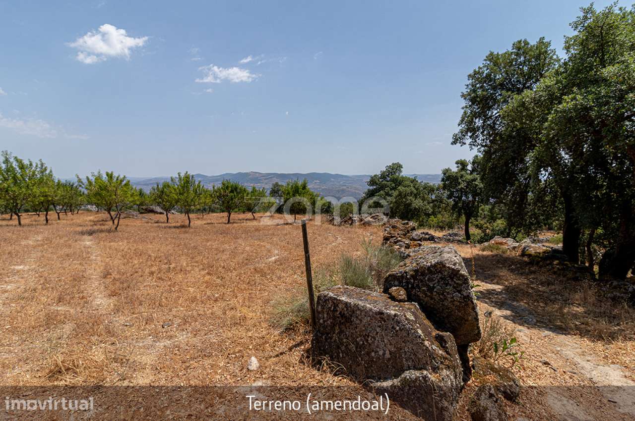 Quintinha - Lousa, Torre de Moncorvo, Portugal - Grande imagem: 5/39