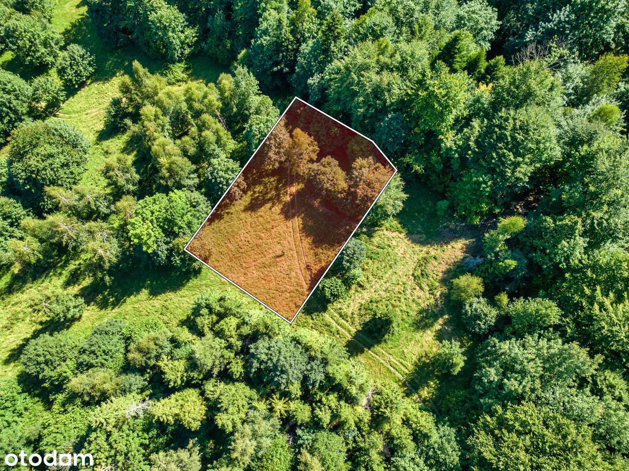 Piękna działka wśród zieleni, idealna na rekreacje, cisza i spokój - Pełny obrazek: 2/8