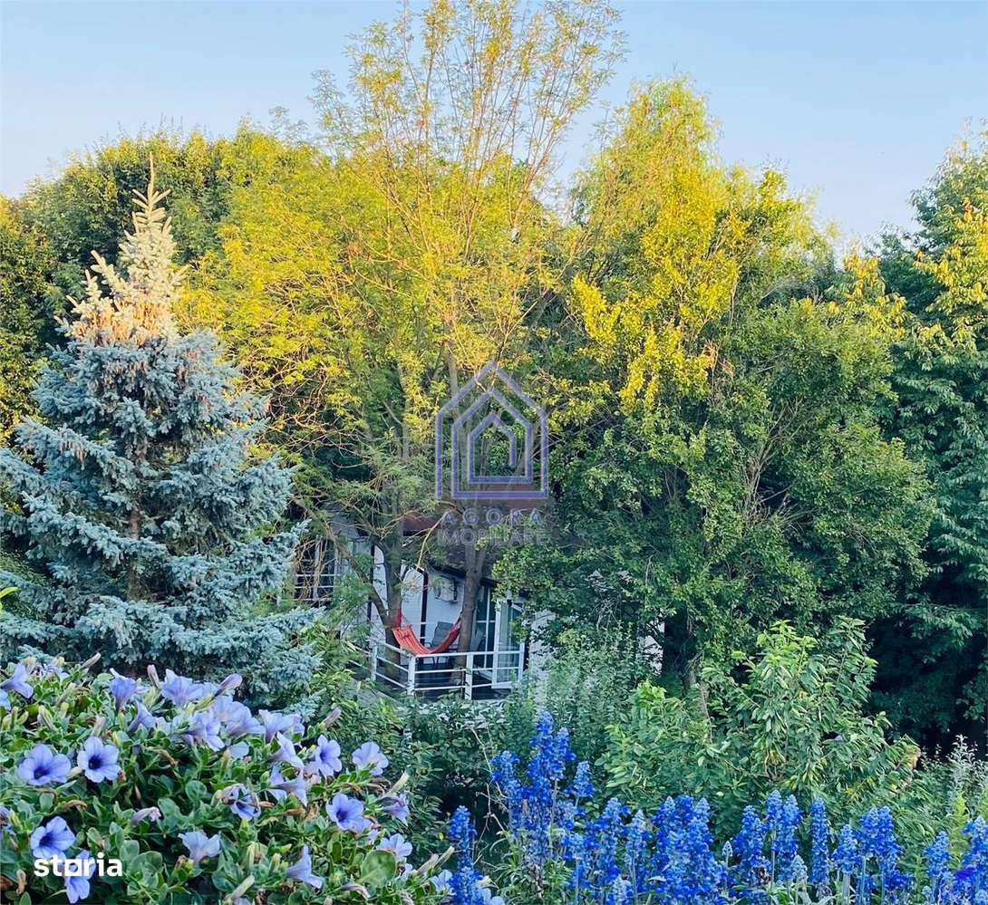 Teren central de vânzare-12