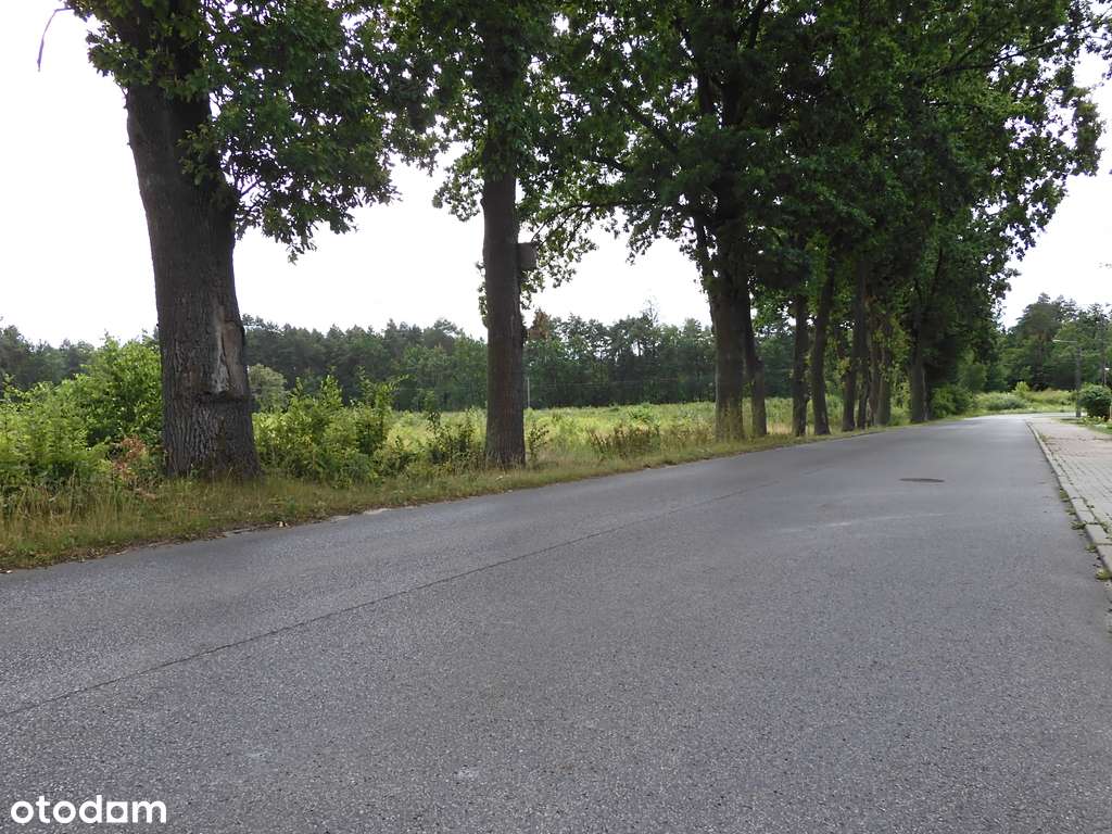 ✅Inwestuj w przyszłość już dziś!✅ - Pełny obrazek: 5/6