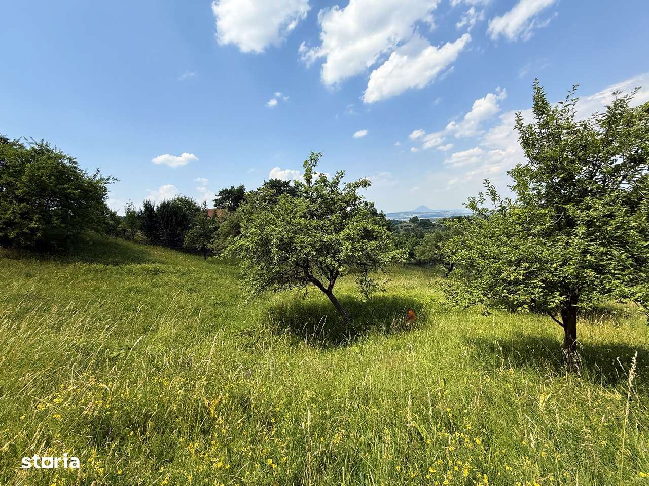 Teren intravilan 2330 mp, comuna Bran, sat Sohodol-6