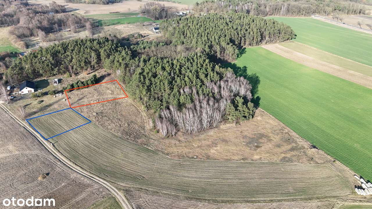 Działki budowlane / las / bez pośredników / różne obszary do wyboru - Pełny obrazek: 5/5