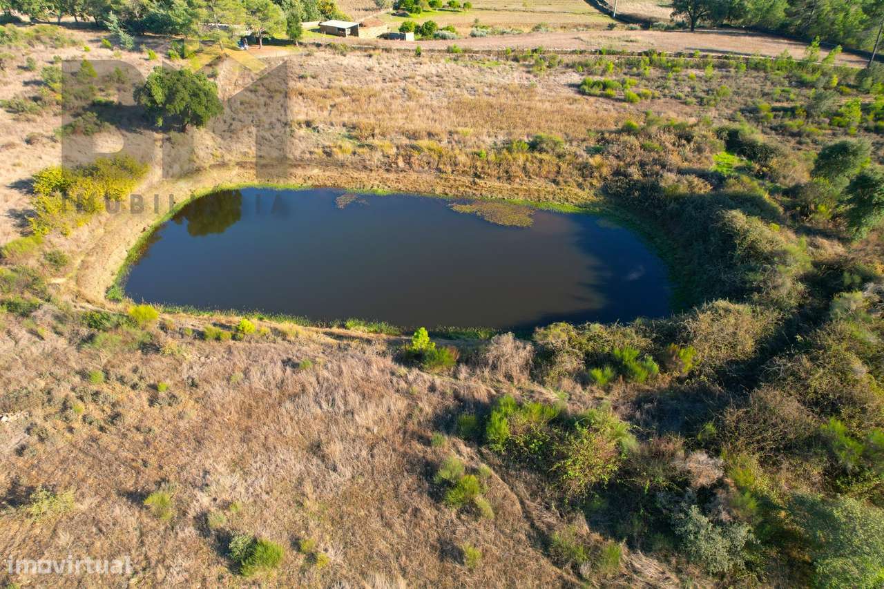 Terreno Rústico  Venda em Cebolais de Cima e Retaxo,Castelo Branco - Grande imagem: 3/10