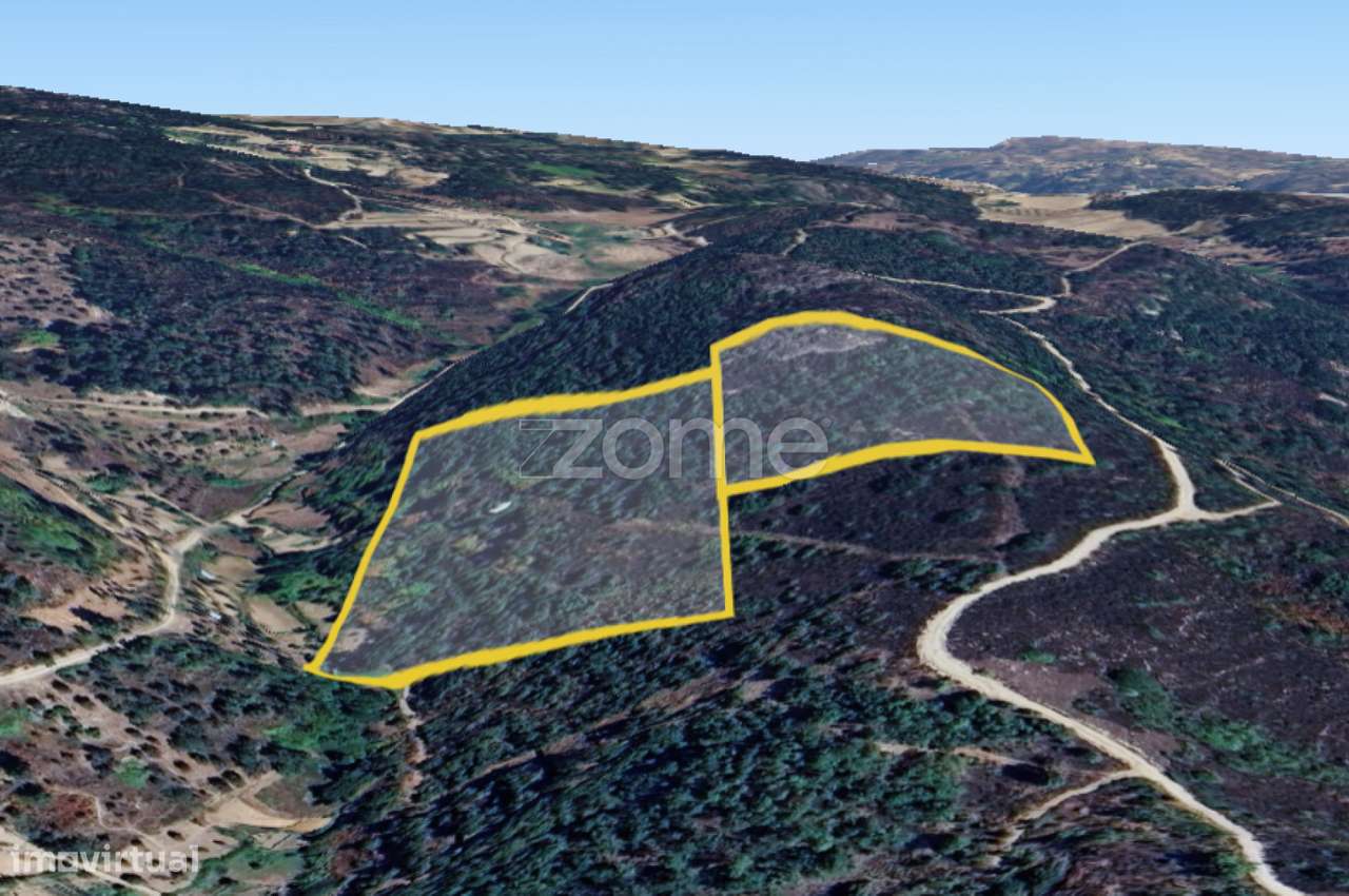 Quinta de ~3ha com duas moradias para reconstrução total - Grande imagem: 3/8