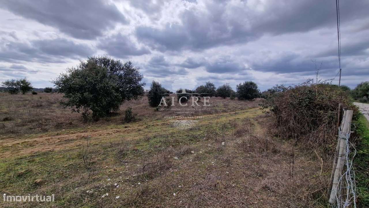 TERRENO NÃO CONSTRUTIVO - Grande imagem: 2/2