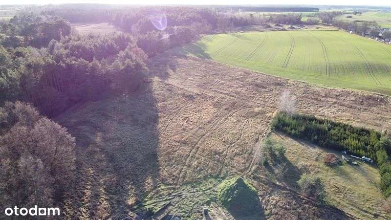 Rozłogi - działka budowlana przy lesie - Pełny obrazek: 4/10