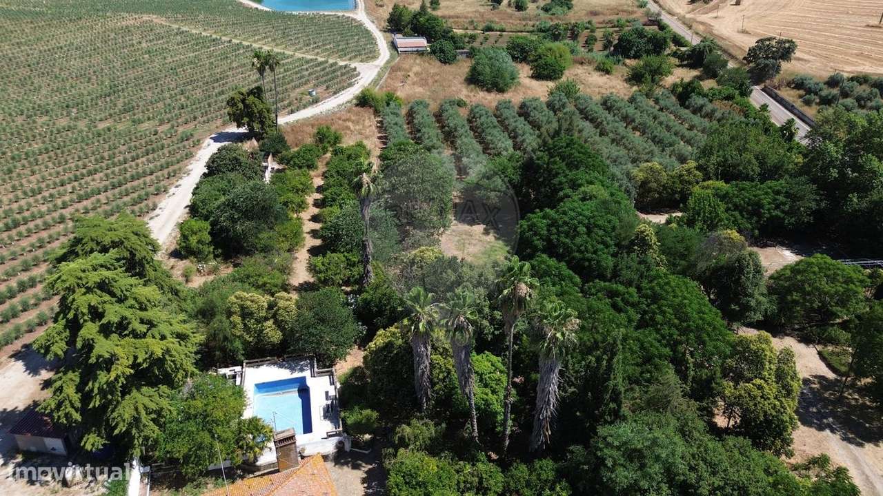 Quinta T10 para venda - Grande imagem: 4/45