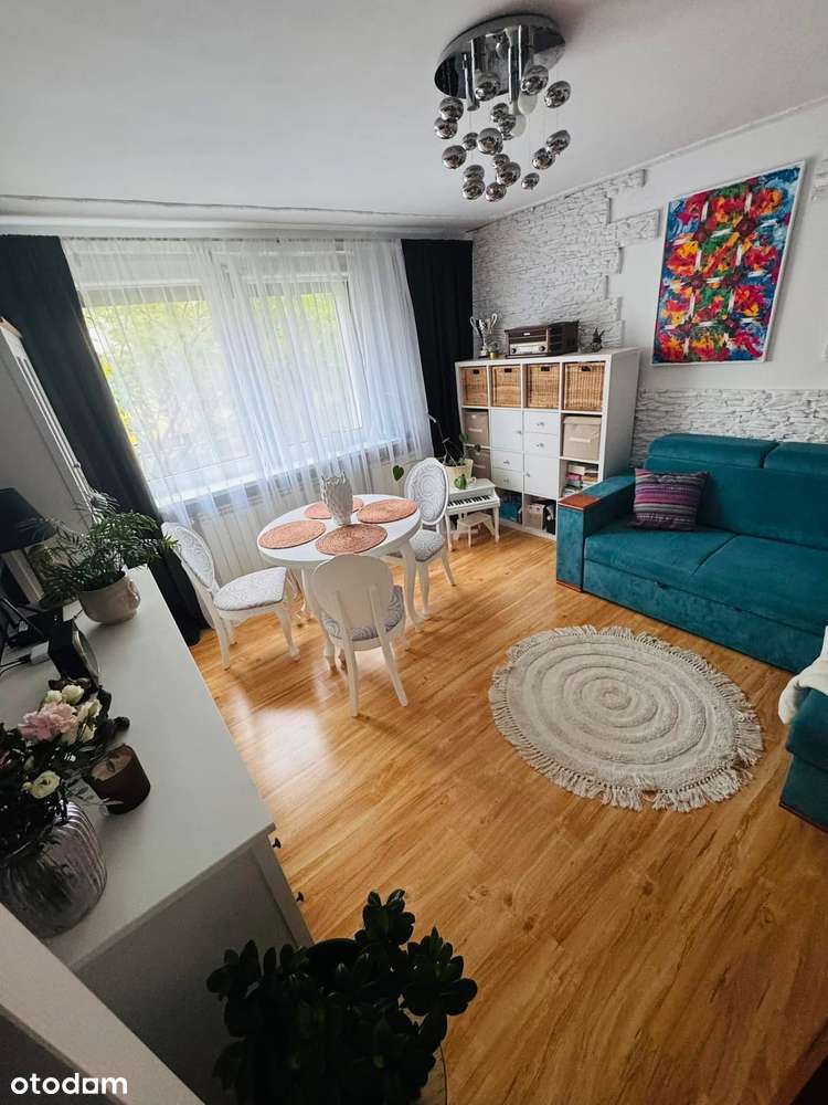 Mieszkanie 2 pokoje parter ogródek działka ROD bez prowizji - Pełny obrazek: 4/7