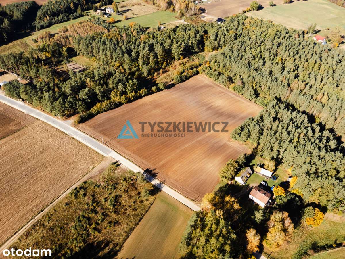 Wydana Wz! - Gospodarstwo rolne wraz z zabudową! - Pełny obrazek: 5/20