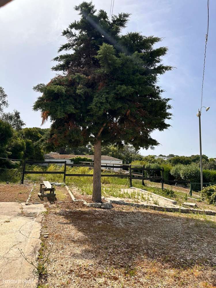 QUINTA EQUESTRE SANTO ESTEVÃO-18