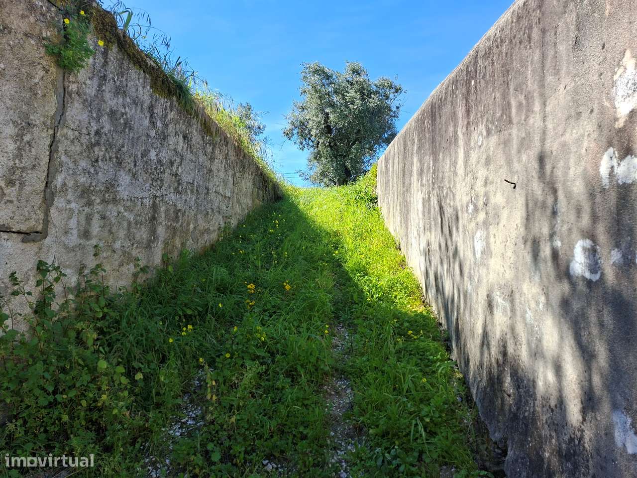 Terreno  Venda em Valhascos,Sardoal-8