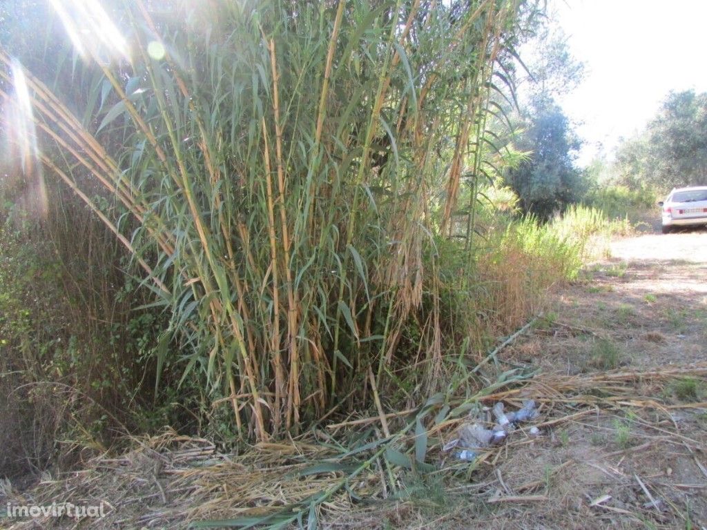 Terreno para construção em Rua dos Calços, Ourém