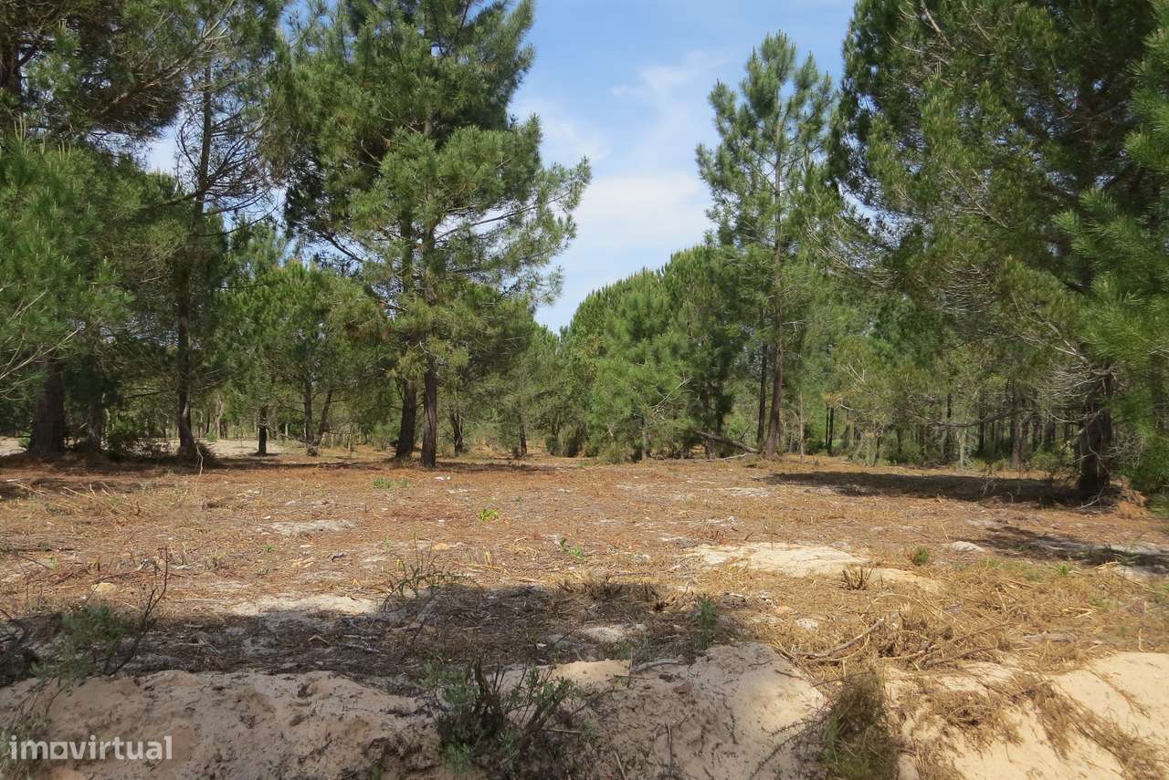 Terreno rústico de 17.000 m² em Melides-0