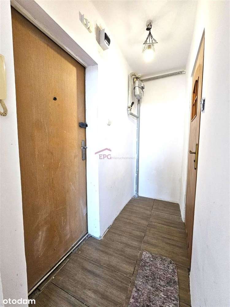 2 Pokoje W Pobliżu Parku Kościuszki! Od Ręki!-11