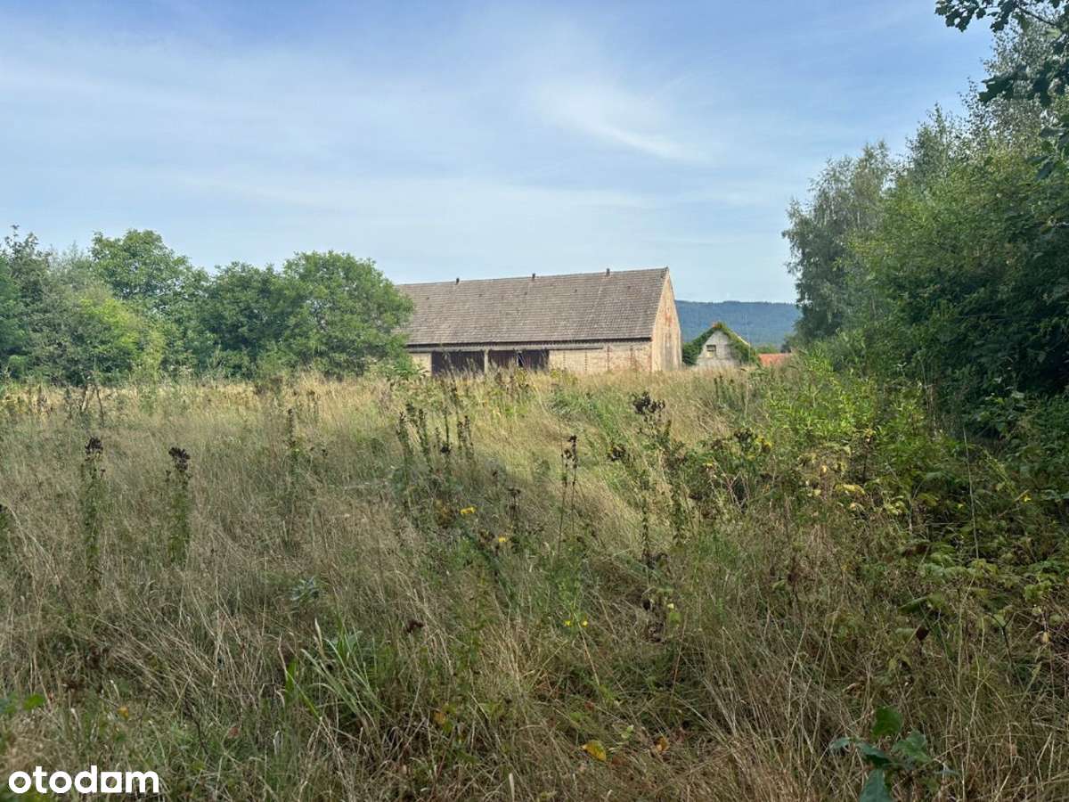 Działka budowlana JAŹWINA - S8, góry, jezioro, las, szybki dojazd! - Pełny obrazek: 5/12