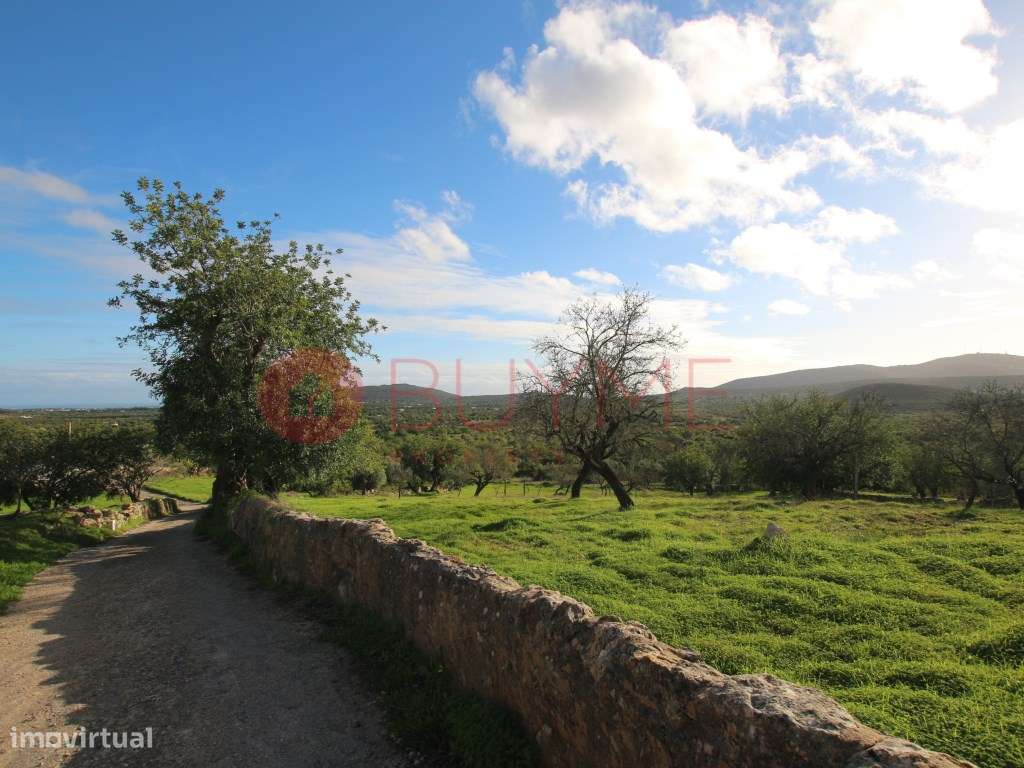 Terreno Urbano com Vista Mar em Cerro do Leiria, Santa Catarina Fon... - Grande imagem: 4/6