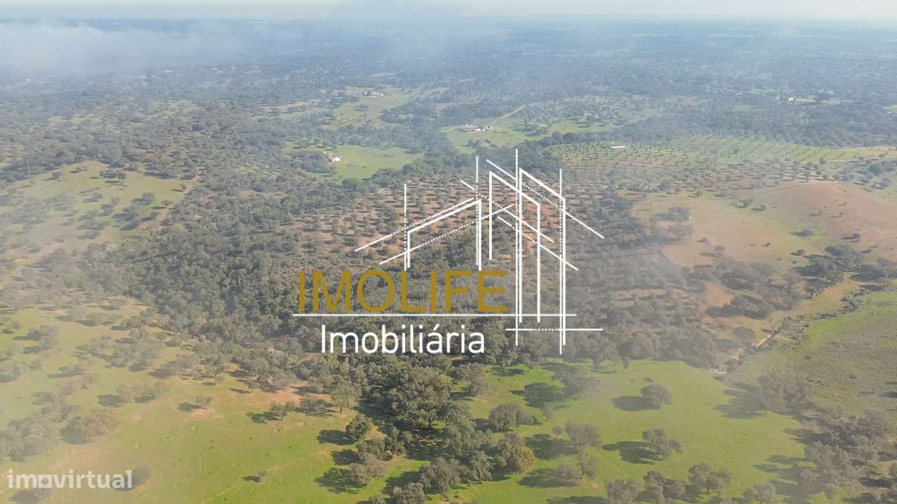 MONTINHO DO CHIADO - MALARRANHA - PAVIA-17