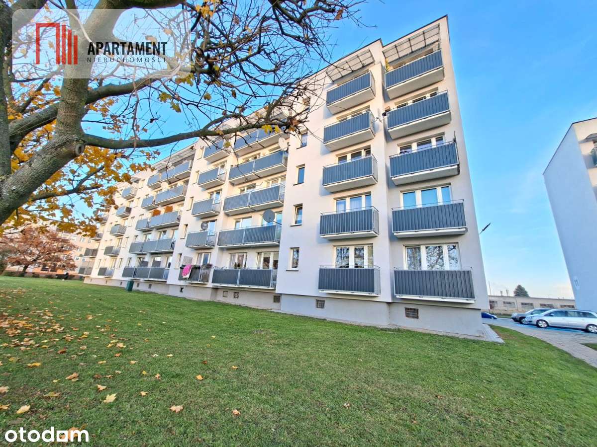 Tylko u nas! słoneczne mieszkanie, dwa pokoje - Pełny obrazek: 2/13