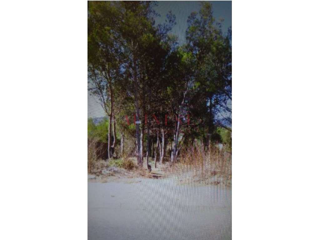 Terreno Urbano para construção em Cascais - Grande imagem: 4/7
