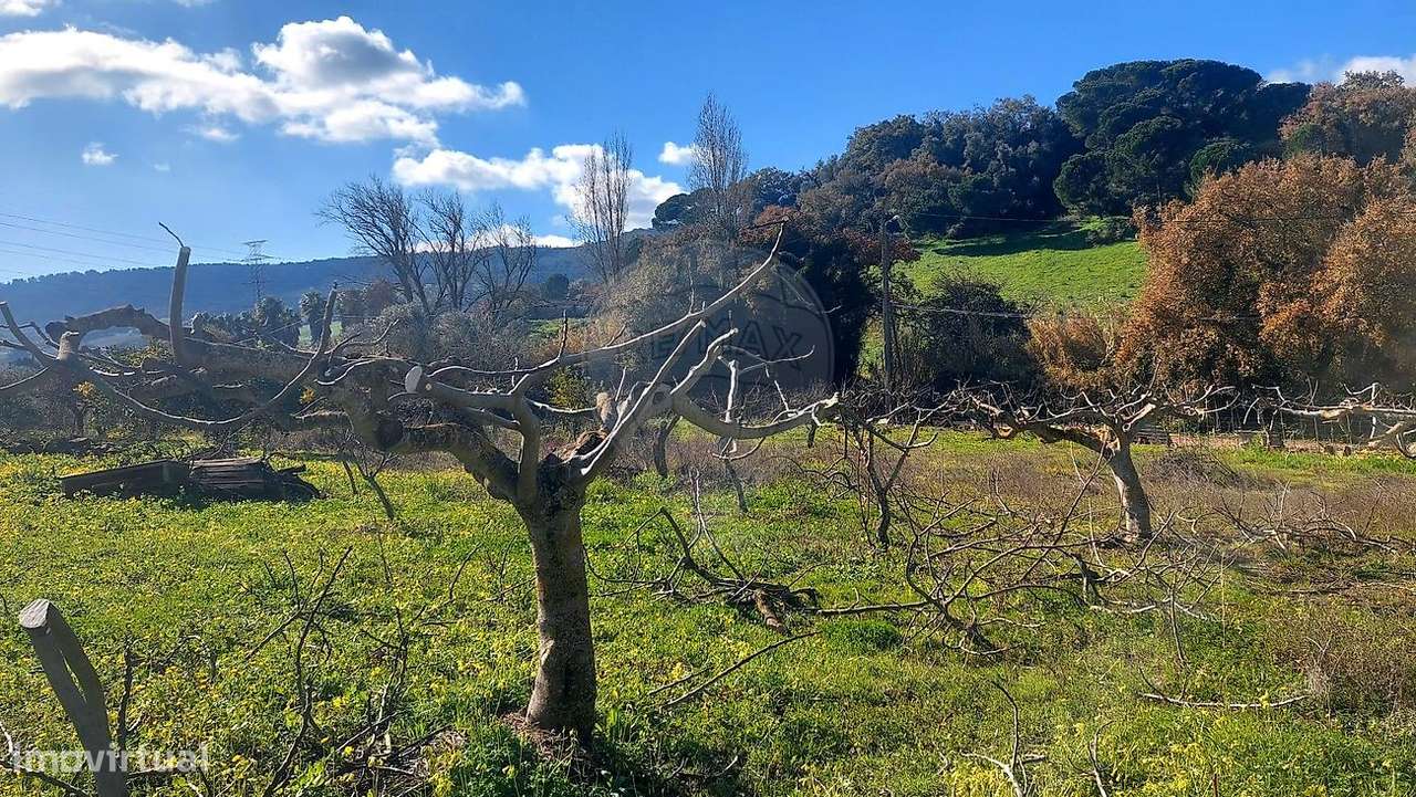 Terreno  para venda-18