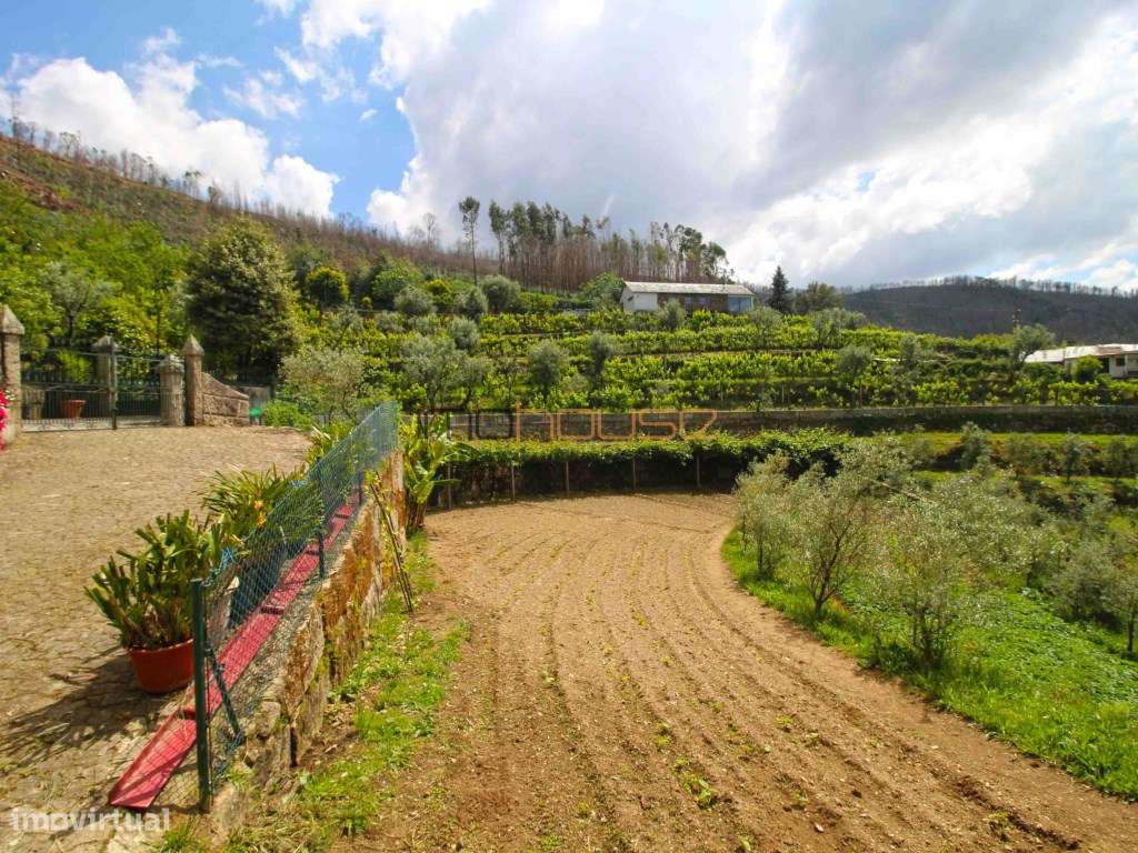 Quinta agrícola - 45 minutos do Porto-58