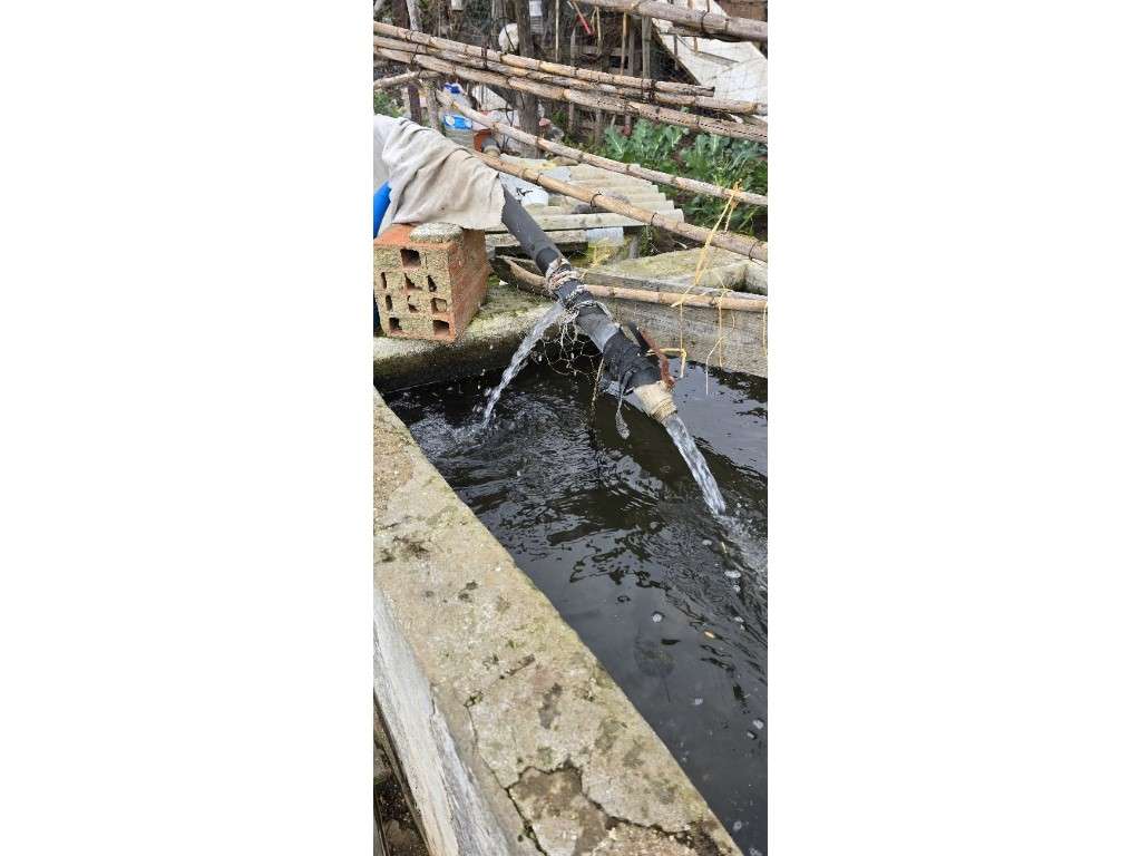 LOTE URBANO c/ 3 Moradias-31