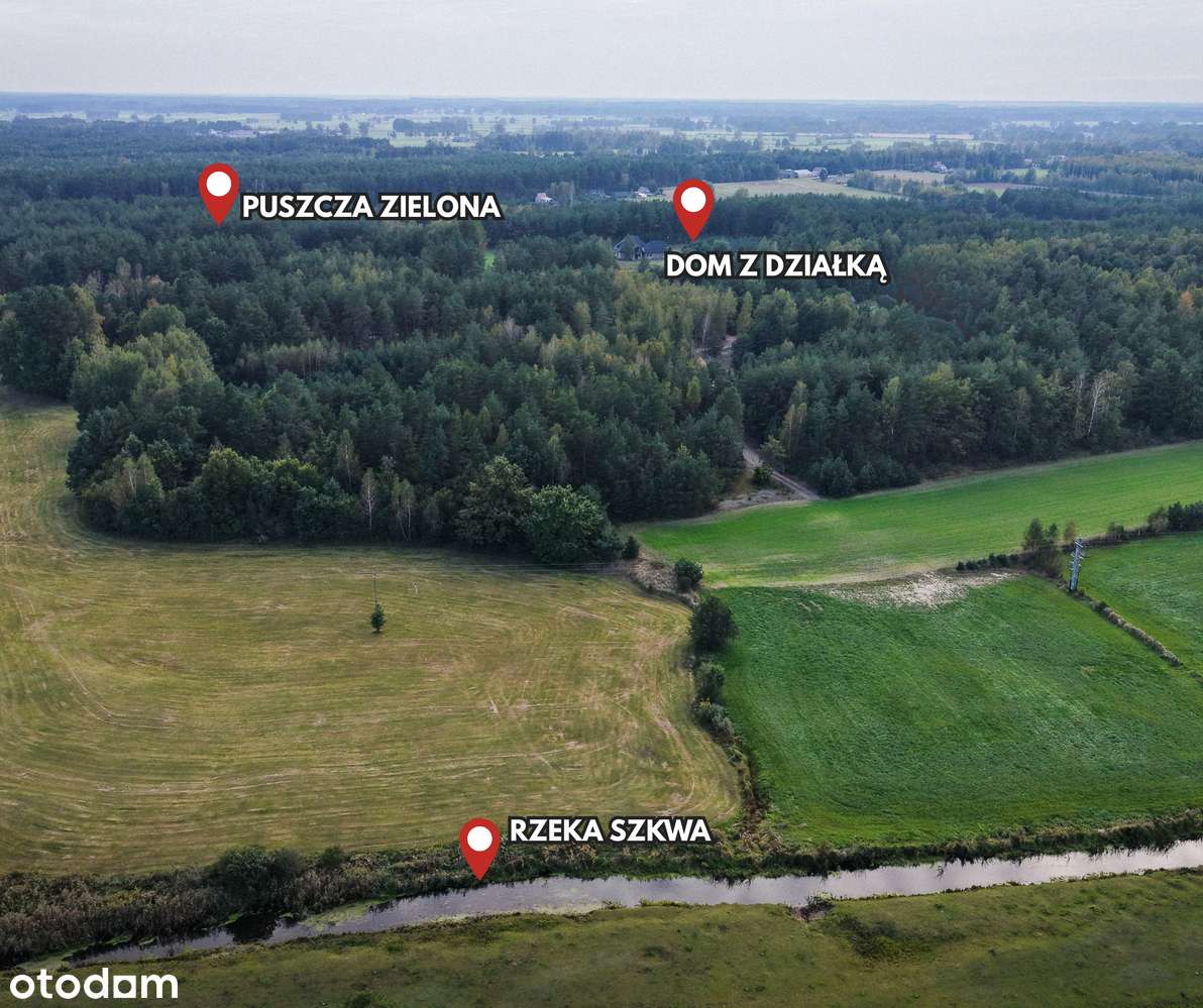 Klimatyczny dom z własnym lasem w Puszczy Kurpiowskiej - Pełny obrazek: 4/20