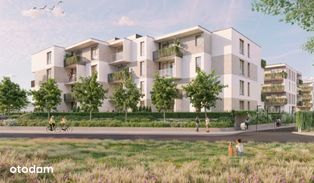 Astelia Park - Pełny obrazek: 4/6