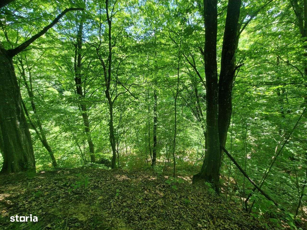 Teren intravilan Comarnic cartier Podul lung langa padure-13