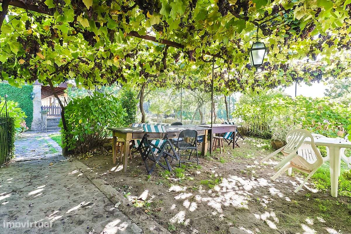 Quinta T10 para venda - Grande imagem: 5/32